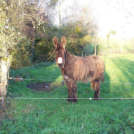 La Genoise Bed and Breakfast Tillieres Exterior foto