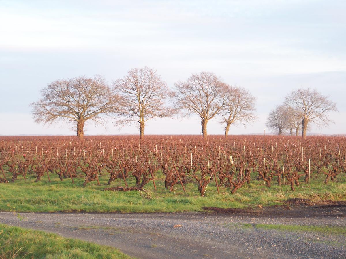 La Genoise Bed and Breakfast Tillieres Exterior foto