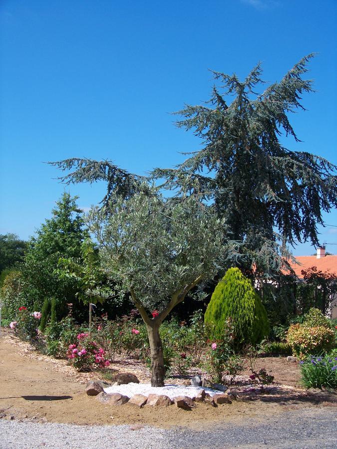 La Genoise Bed and Breakfast Tillieres Exterior foto